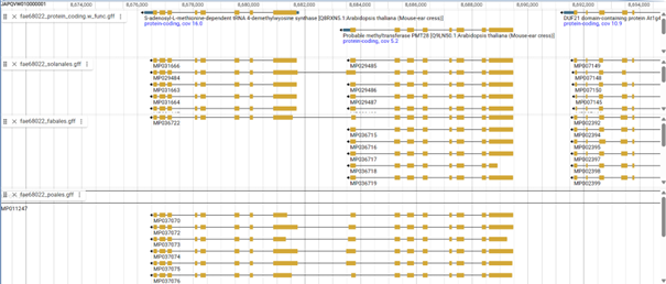 mapping of busco datasets containing artificially fused genes to a genome assembly