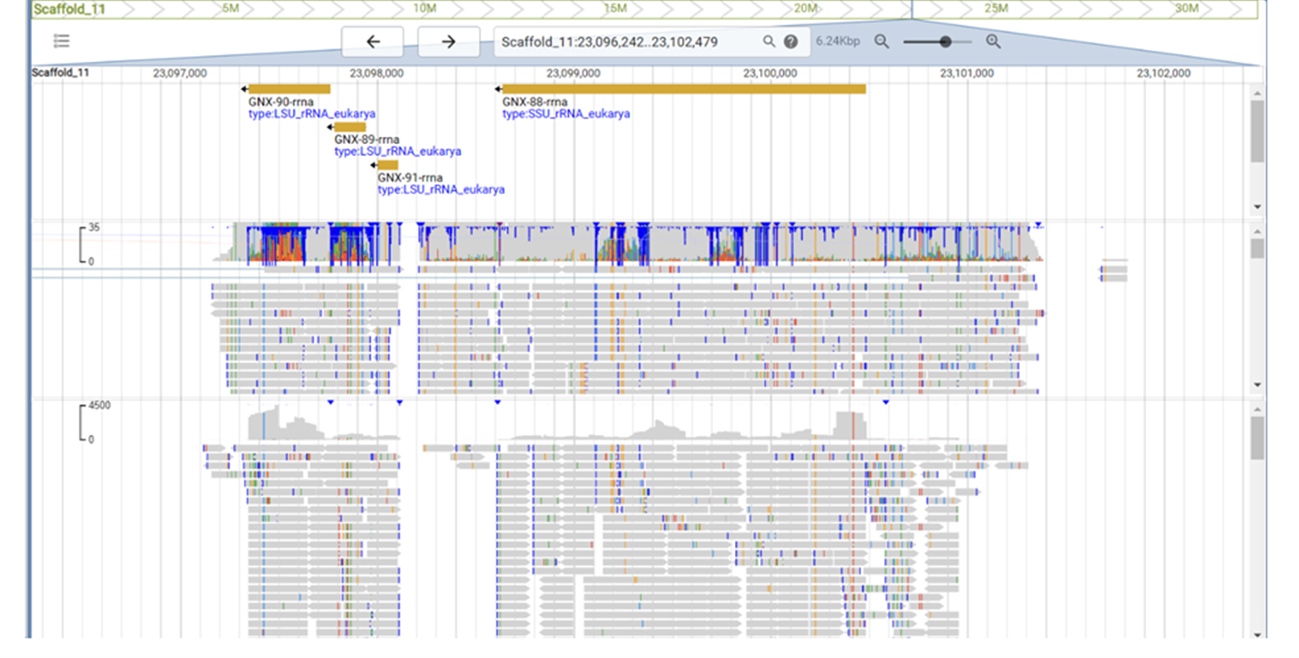 Assembly problems within scaffolds